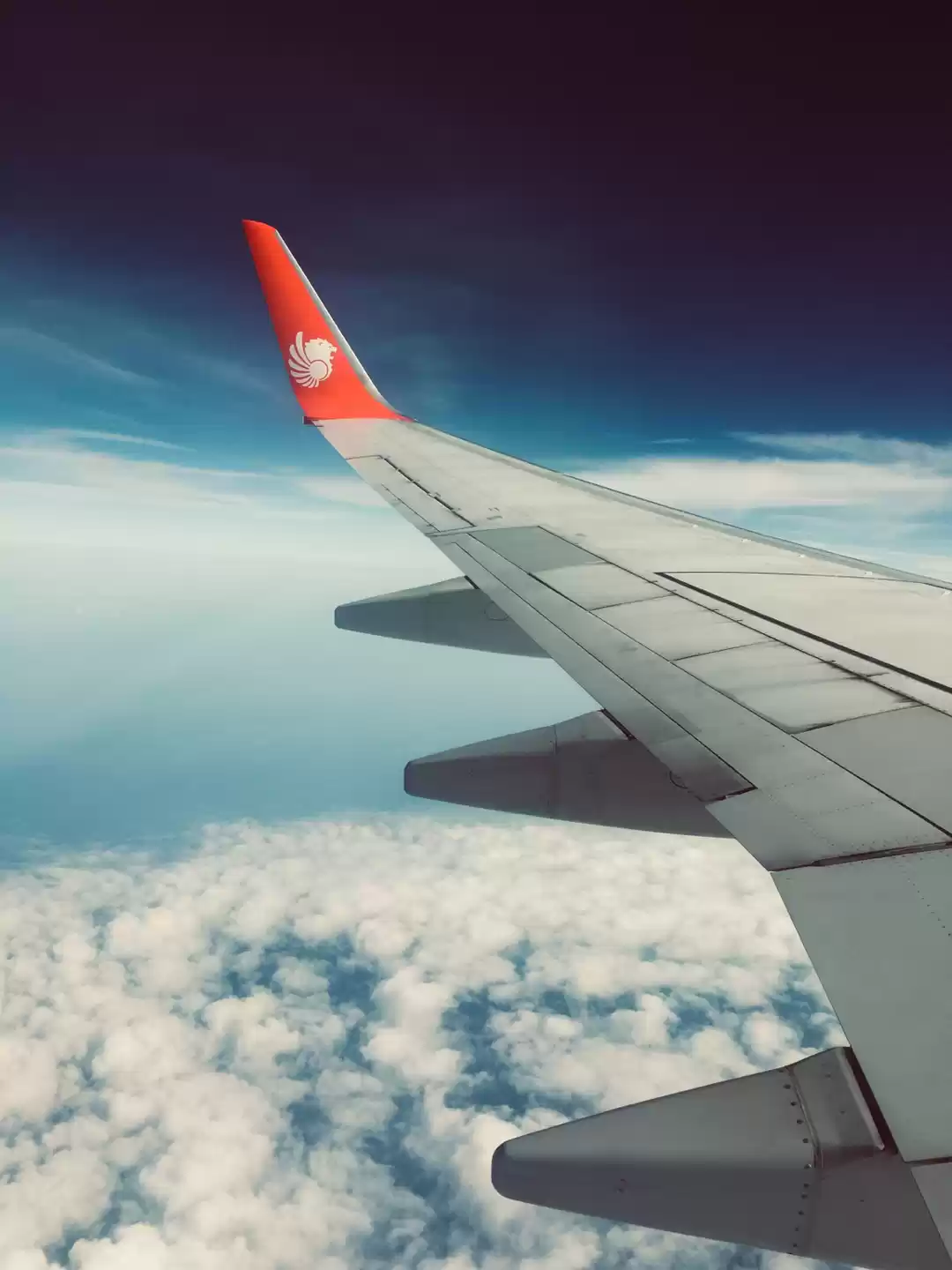 Photo of Reason you should Tr