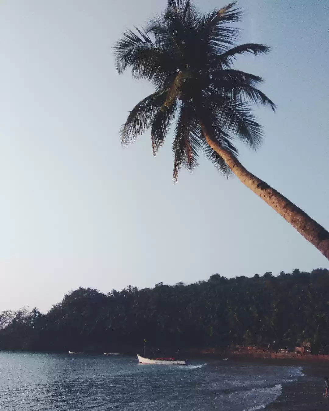 Photo of Goa: Little Secrets 