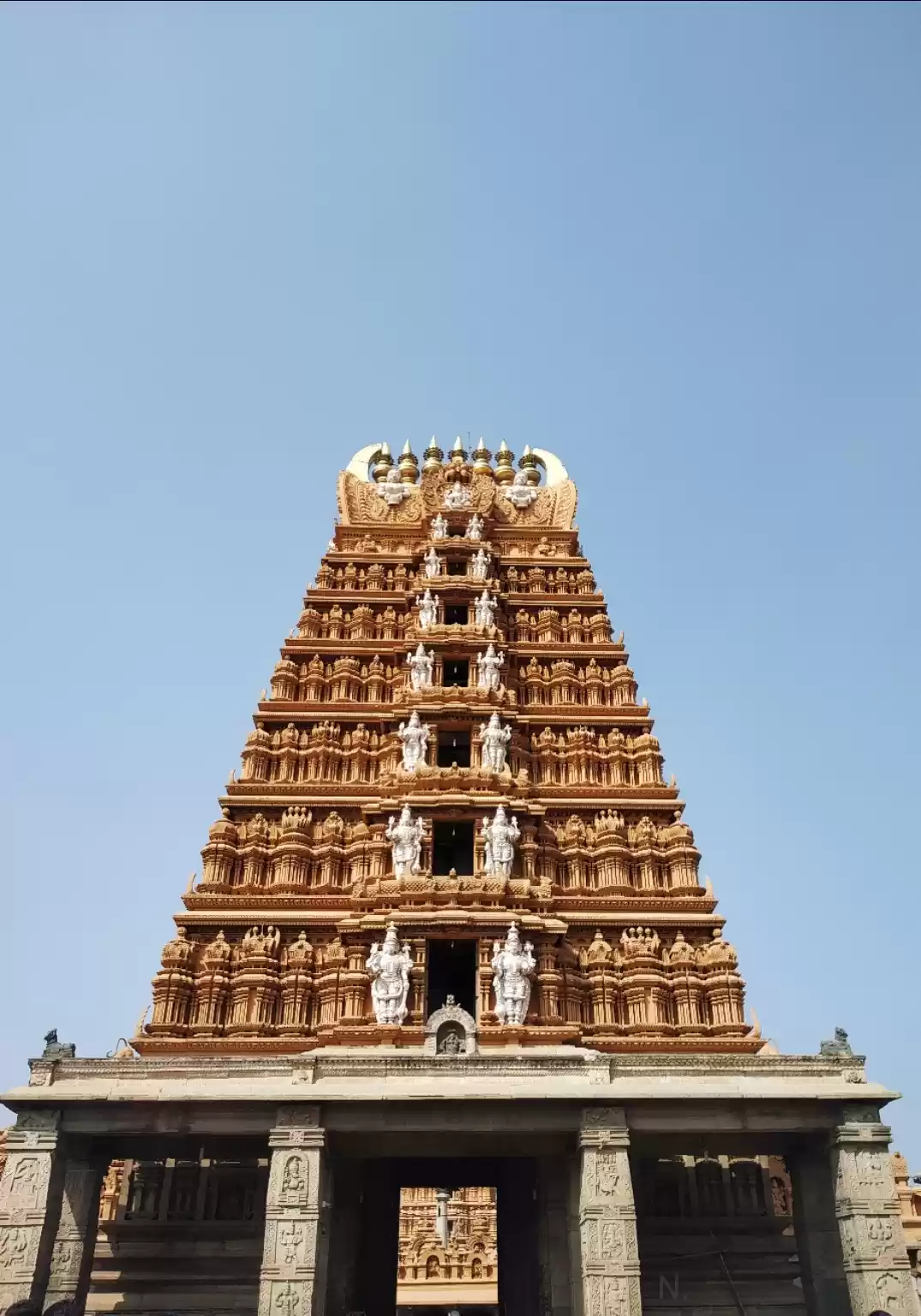 Photo of The Temple Trip