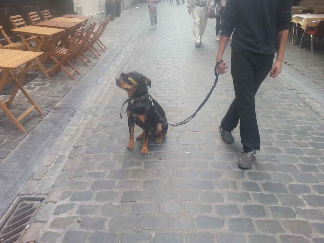 Euro Trip Under Inr 1 Lac How To Reach Cost Places To Visit Activities To Do Tripoto Caribbean dollar (xcd) egyptian pound (egp) ethiopian birr (etb) euro (eur) fiji dollar (fjd) gambian dalasi (gmd) georgian lari (gel) ghanaian cedi (ghs) guatemalan quetzal (gtq) guinea franc (gnf) haitian gourde (htg) honduran lempira (hnl).