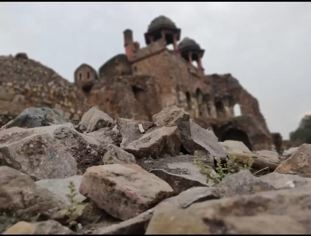 Photo of I measure life by ro