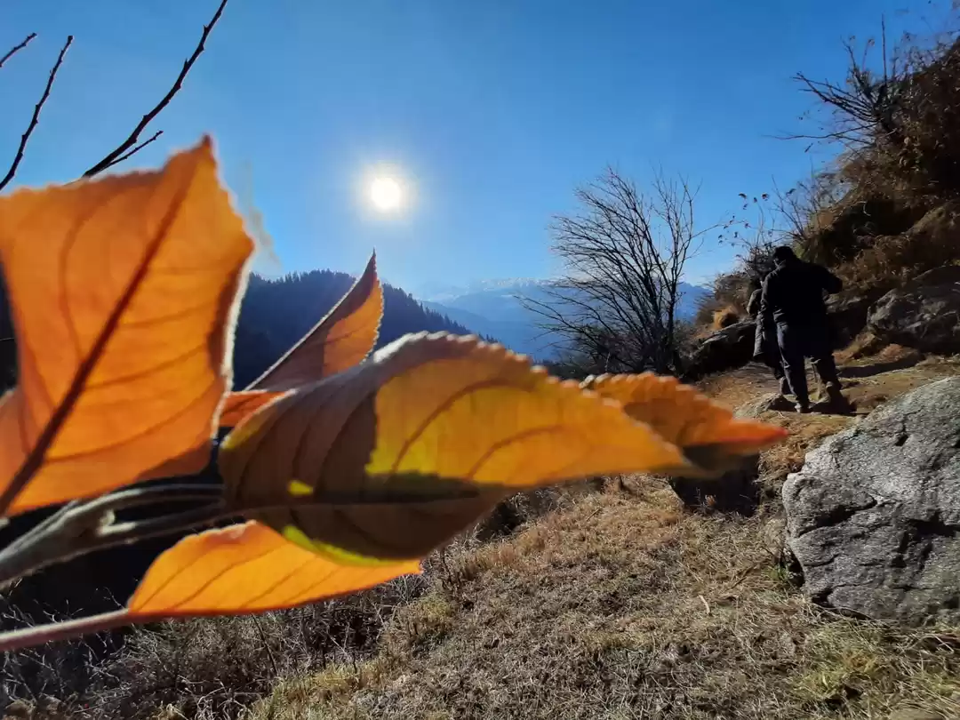 Photo of Trip to Kasol, Manik