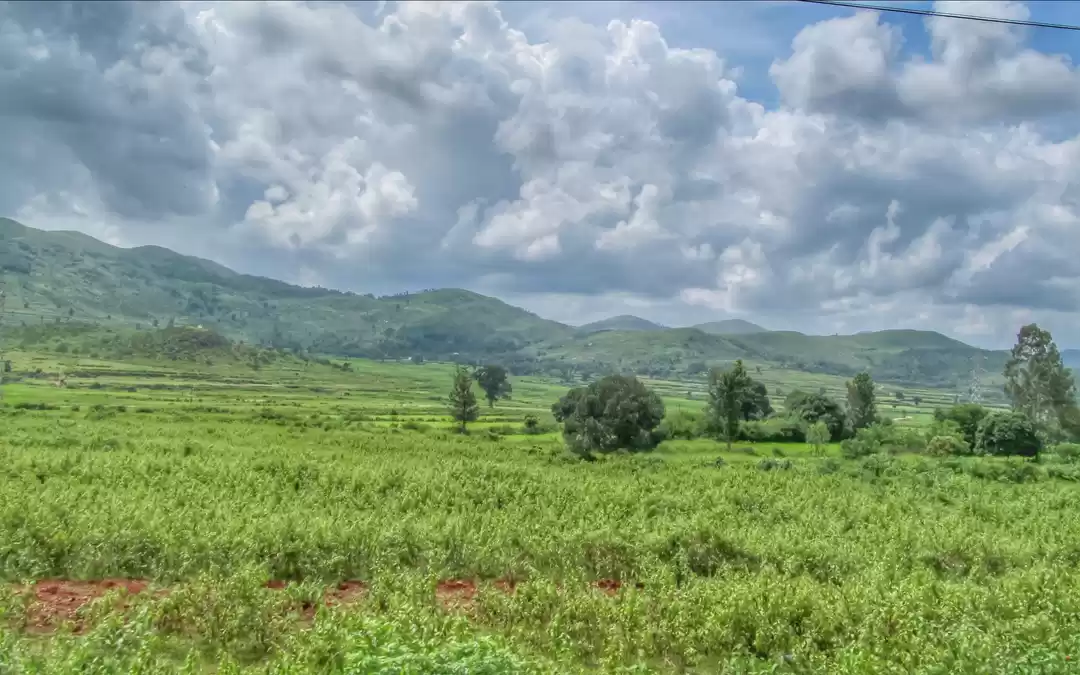 Photo of VISHAKHAPATNAM | THI