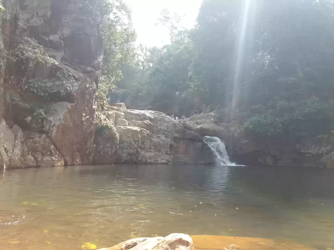 Photo of Into The Wild |Gudgu