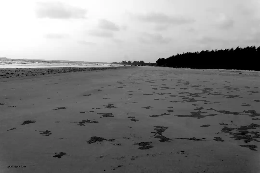 Photo of Tarkarli- Malvan