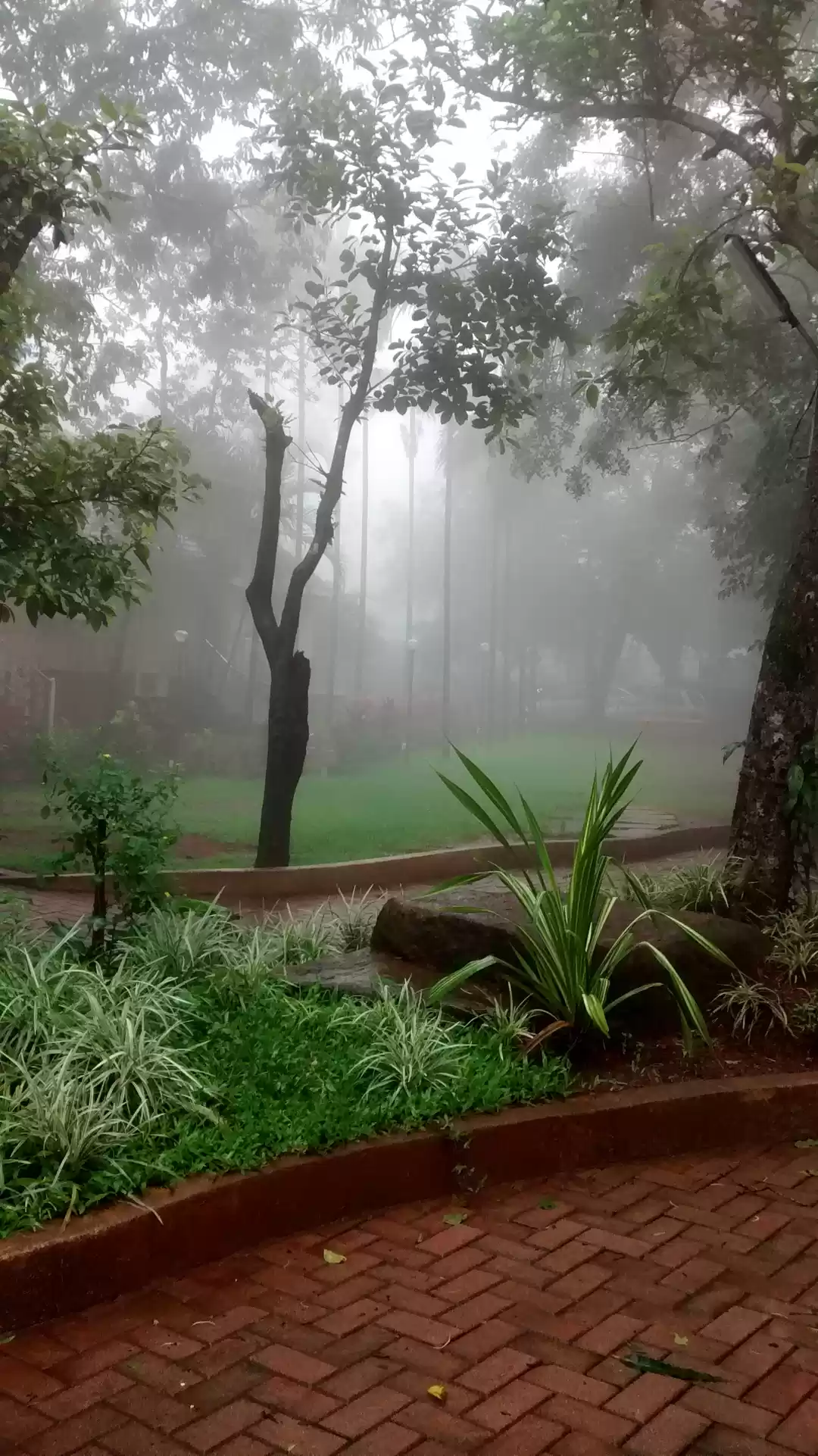Photo of Khandala in Monsoons