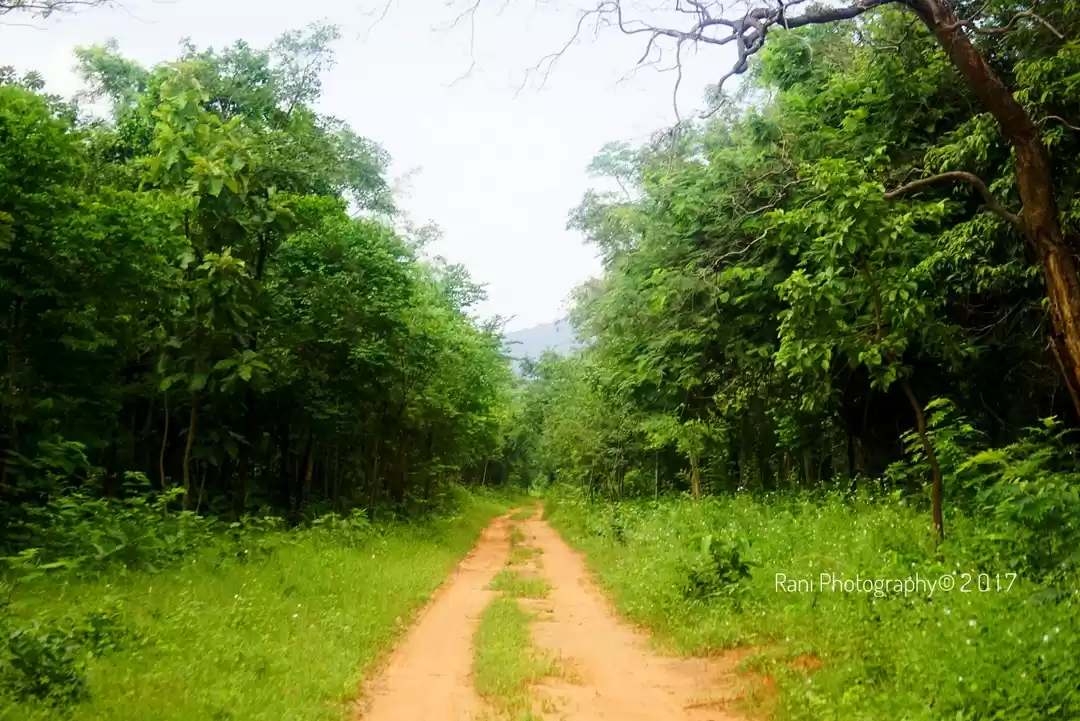 Photo of POST MONSOON WILDERN