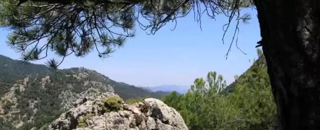 Photo of Go Wild In Southern 