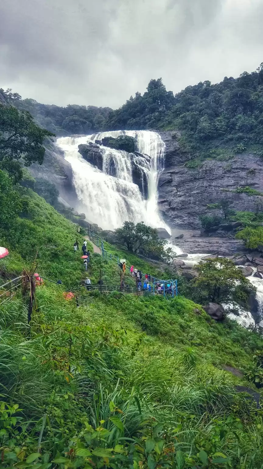 Photo of Mallalli falls- Natu