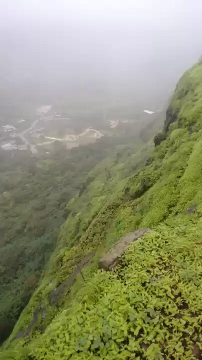 Photo of Finding peace in Loh