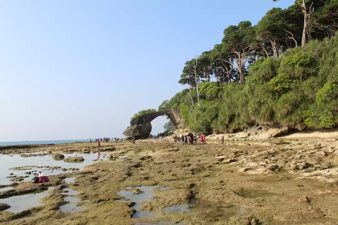 Photo of Adventures in the An