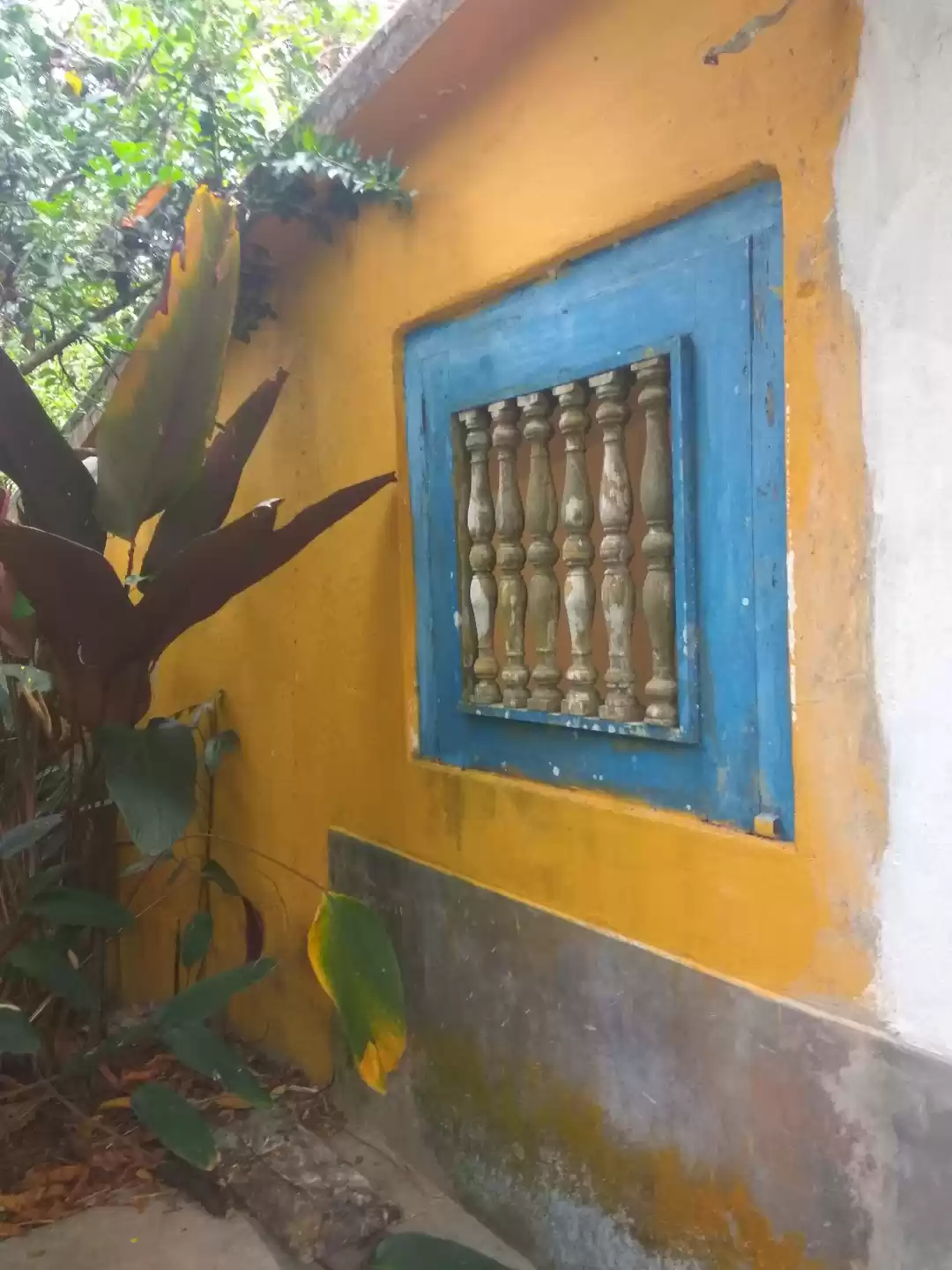 Photo of A trip of firsts! #b