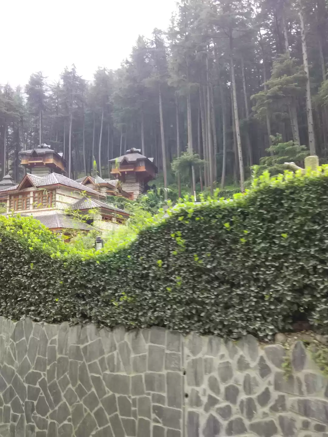 Photo of Hopping around Parva