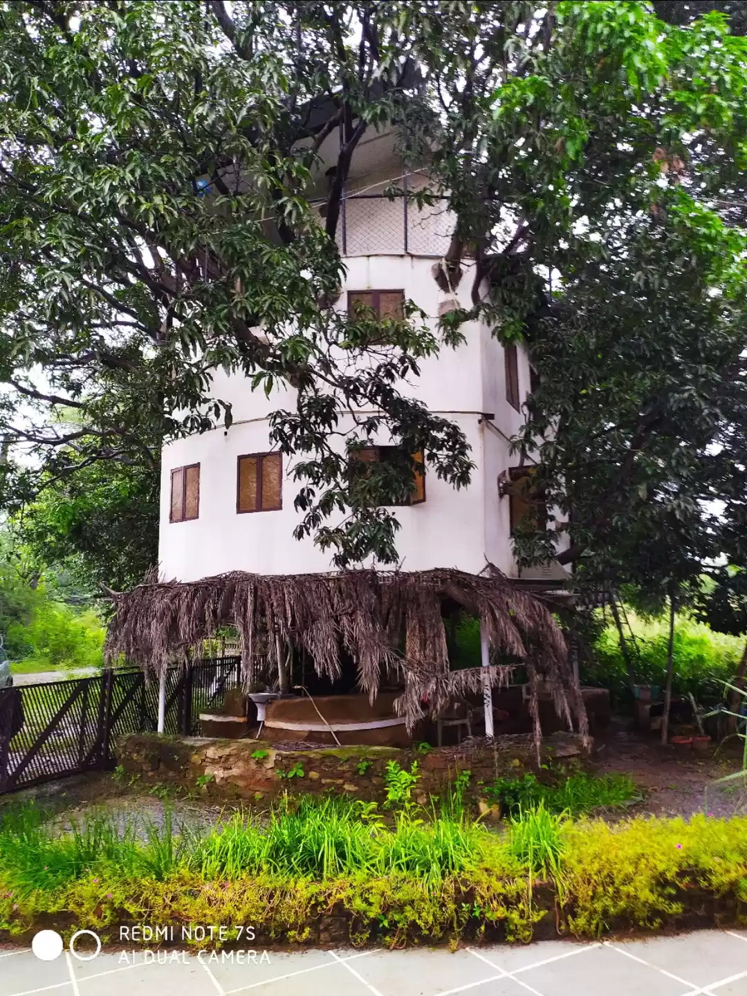 Photo of Tree House on a Mang