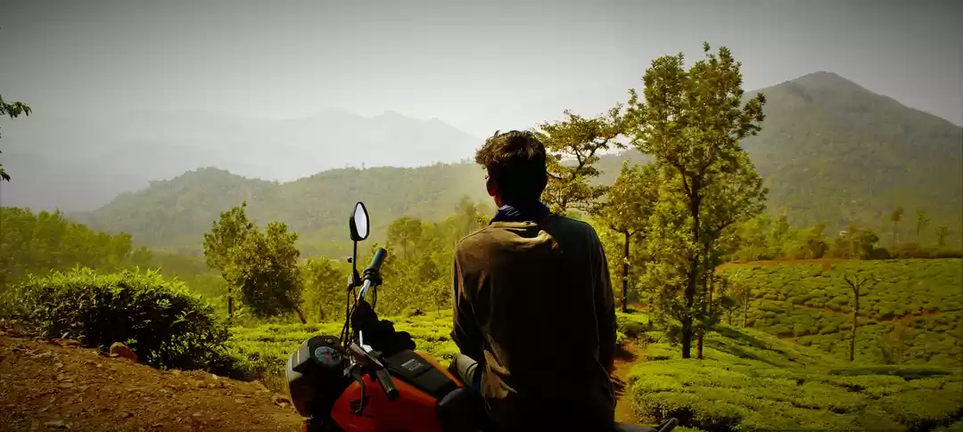 Photo of Beauty of Estates - 