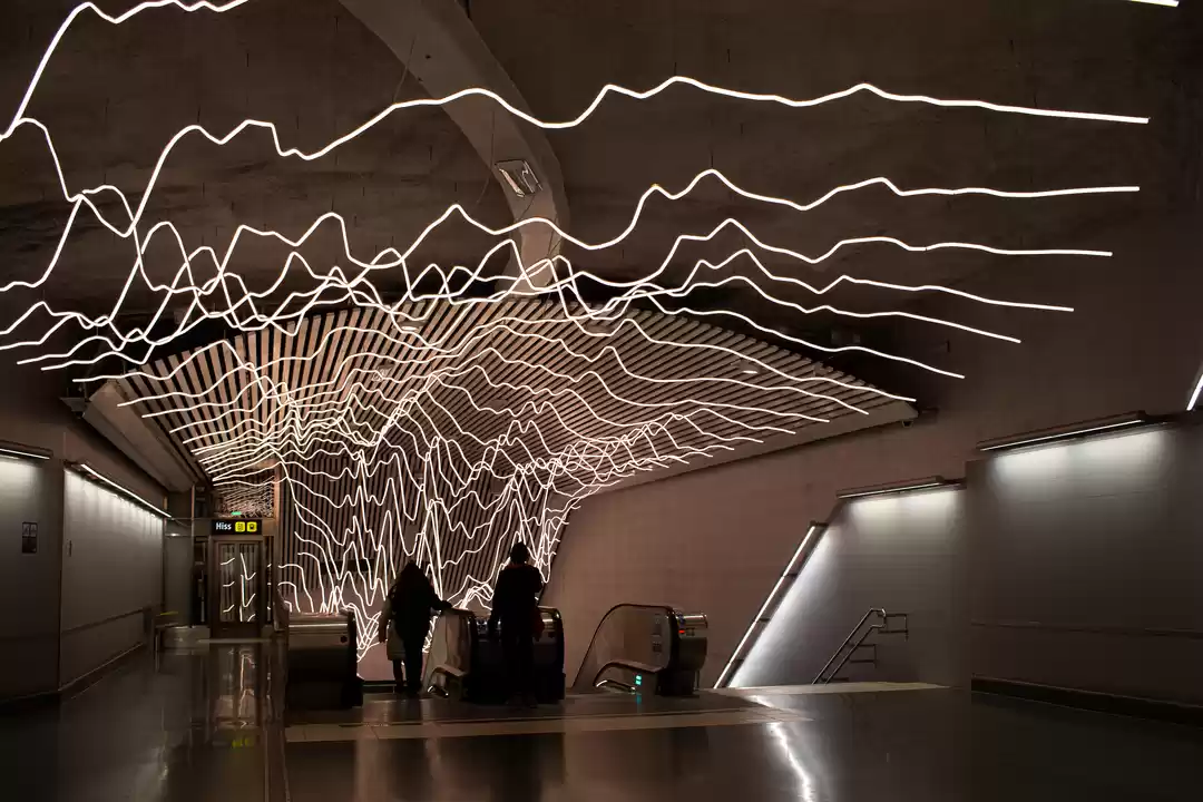 Photo of Underground World Of