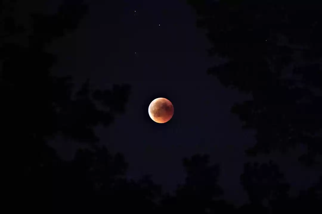 Photo of Malajpur's Ghost Fai