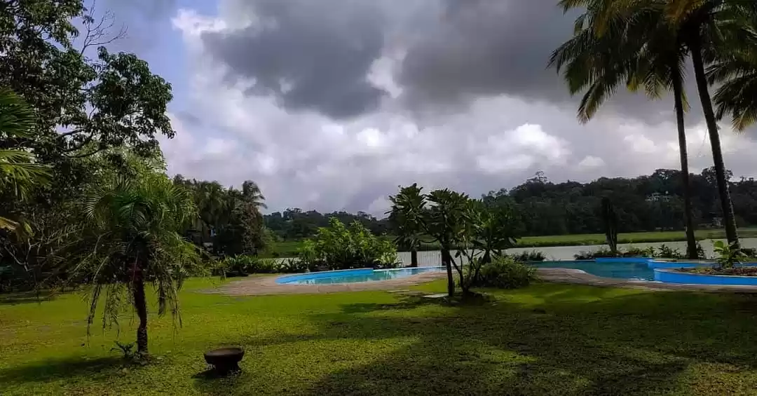 Photo of Reconnect With Natur