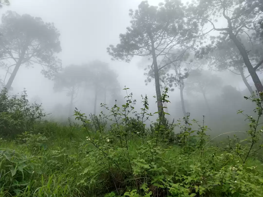 Photo of Rejuvenation Trip to