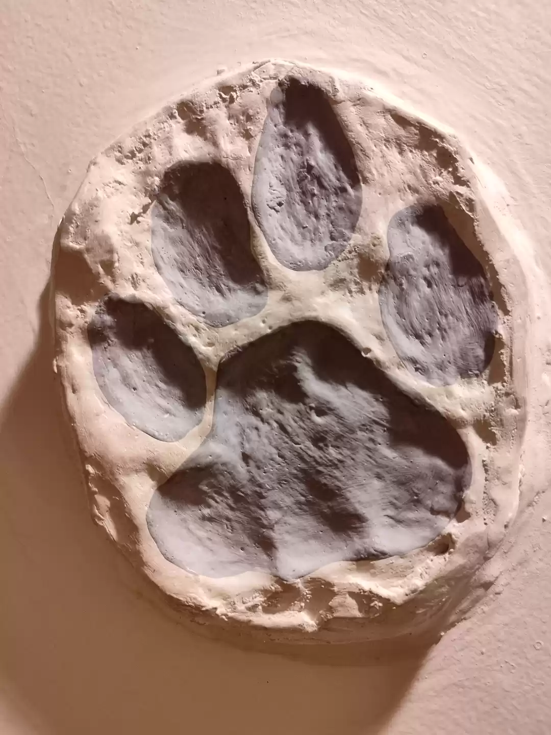 Photo of Ranthambore Refreshe