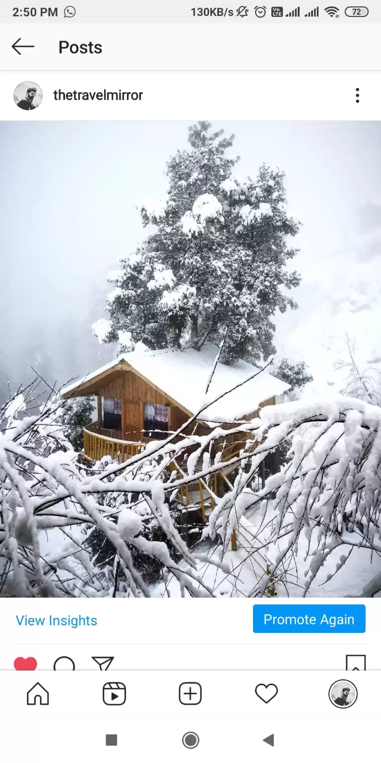 Photo of Treehouse - A dream 