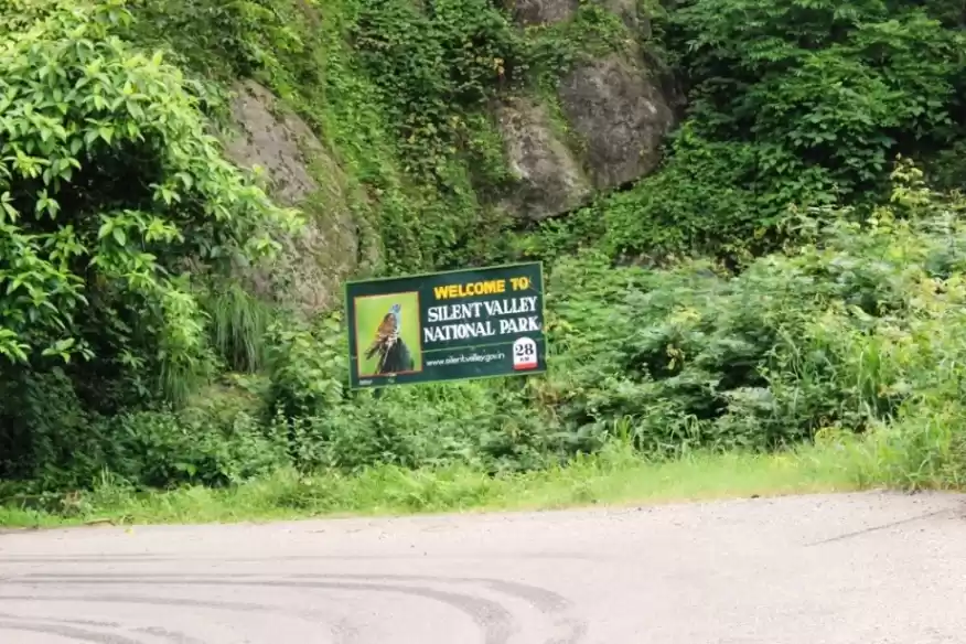 Photo of Silent Valley Nation