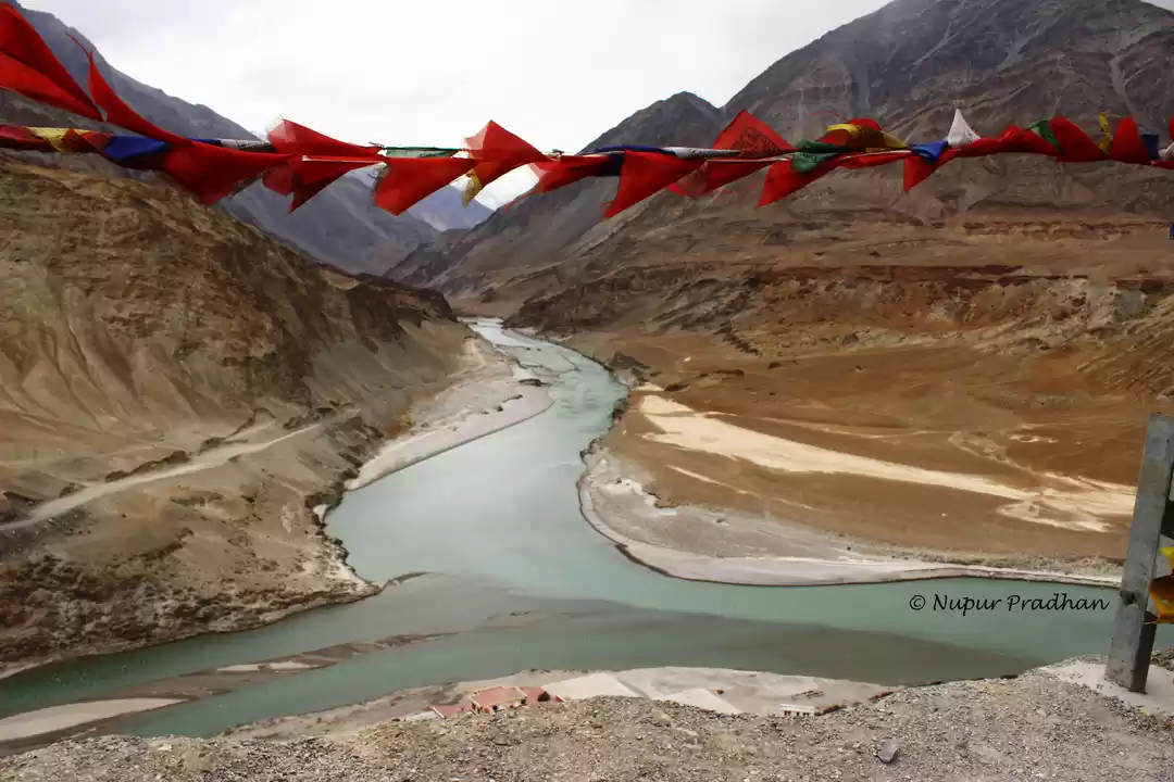 Photo of A First Timer's Guid