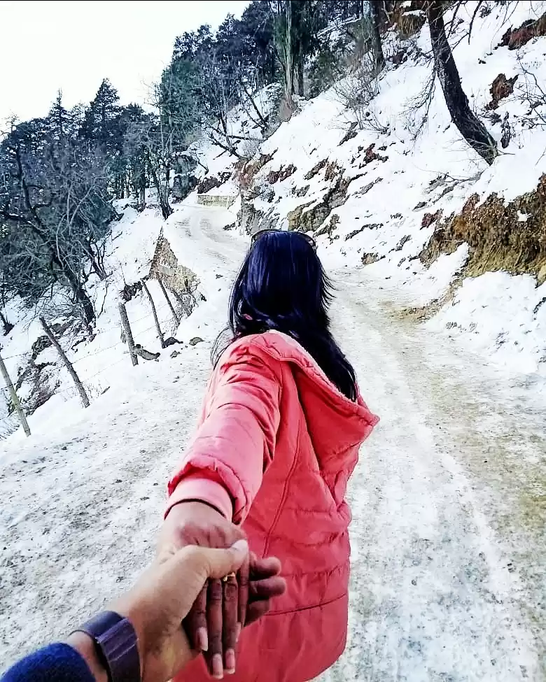 Photo of Into The Snow