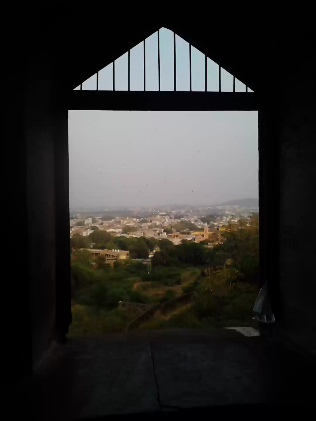 Photo of Jhansi- a lesser Kn