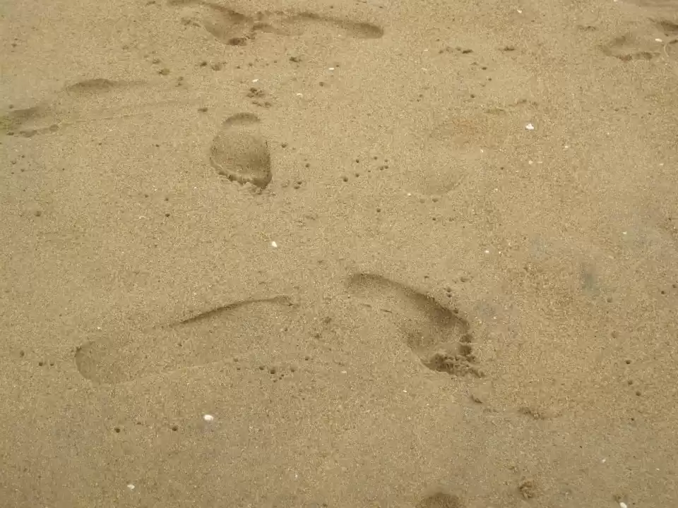 Photo of Konark Temple - whil