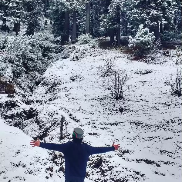 Photo of Himachal Celebrated 