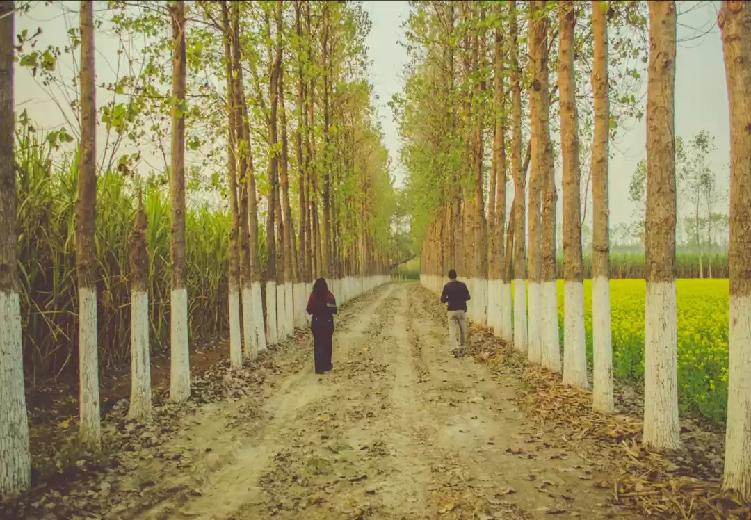 Photo of For The Couple That 