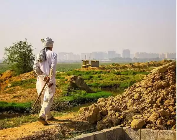 Photo of Things A Budding Tra