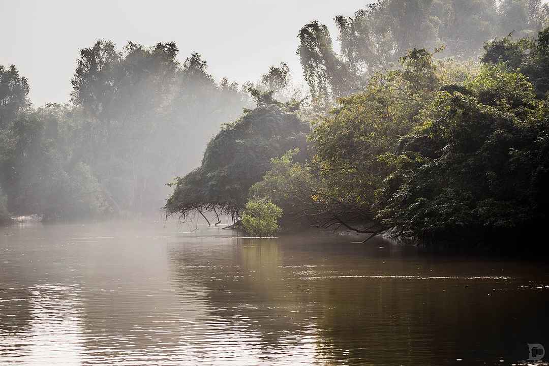 bhitarkanika tourist spot