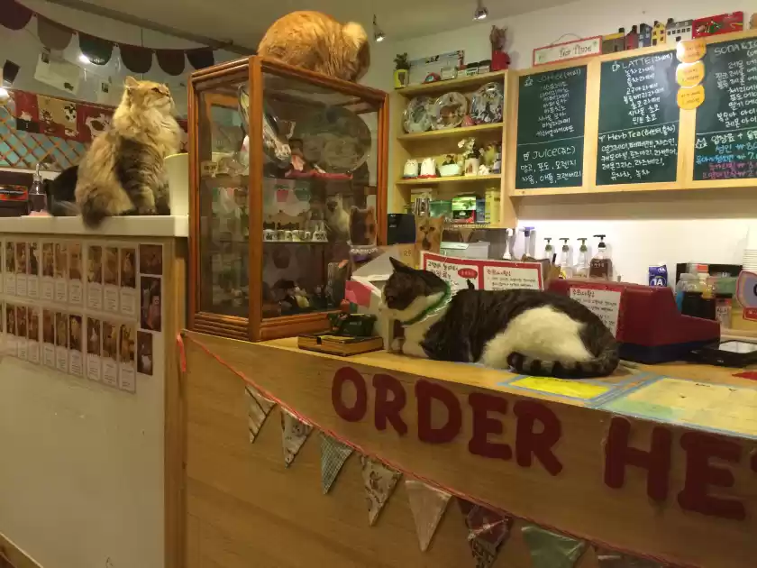 Photo of Poop Cafe And More Q