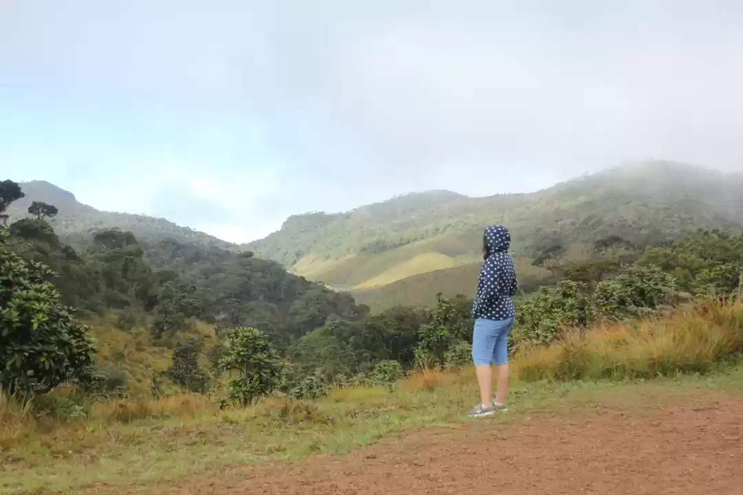 Photo of What to look for in