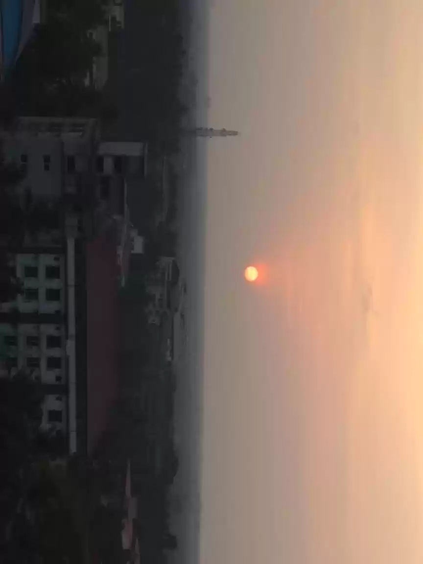 Photo of Inspired by Life - M