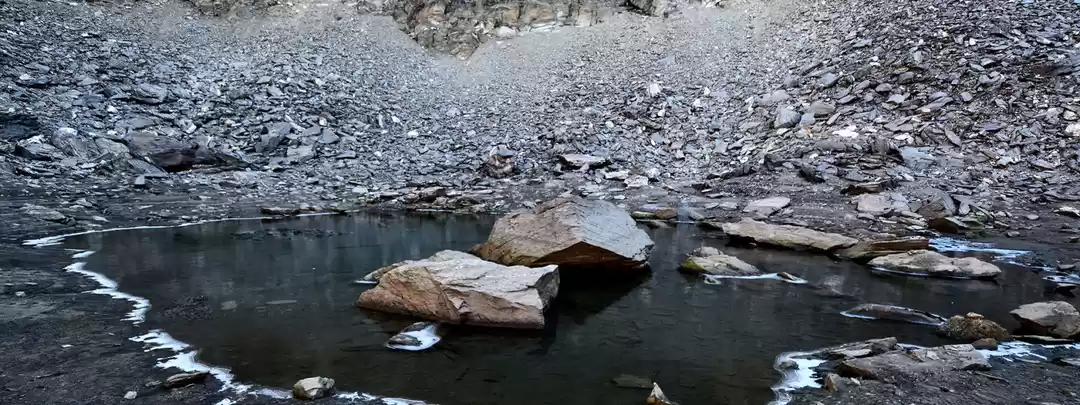 Photo of Everything You Need