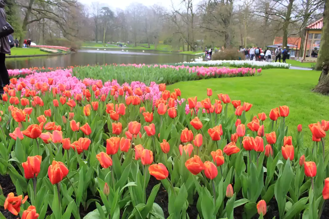 Photo of Garden of Europe