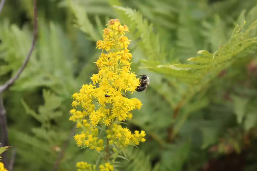 Photo of Hudson Valley Hiking