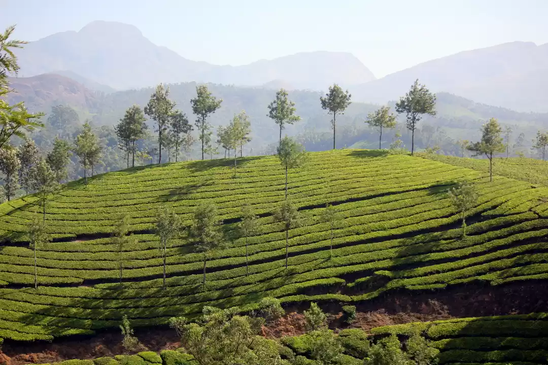 Photo of Visiting God's own c