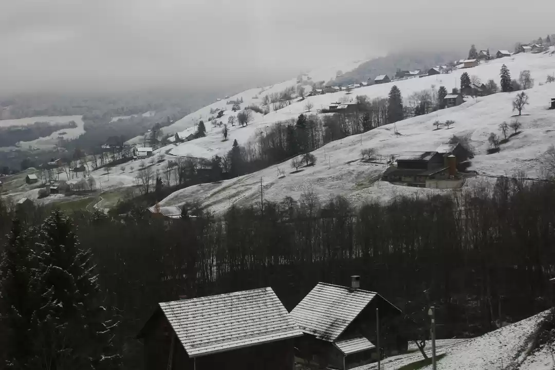 Photo of In the Land of Circu