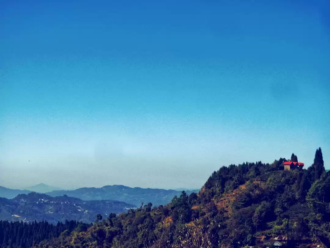 Photo of A Twilight Saga! 