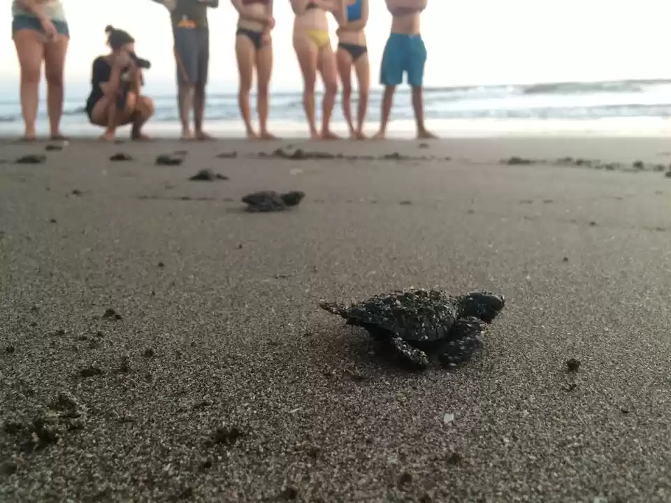 Photo of How To Travel Long T