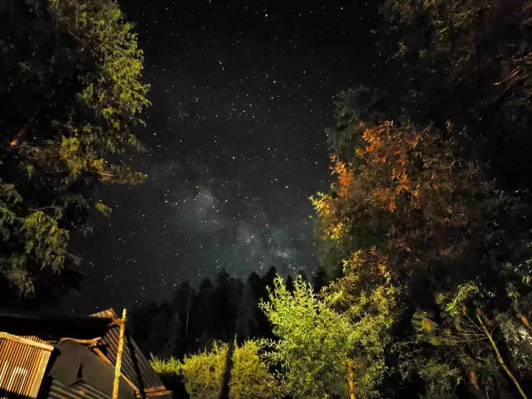 Photo of Jibhi 4 day trip