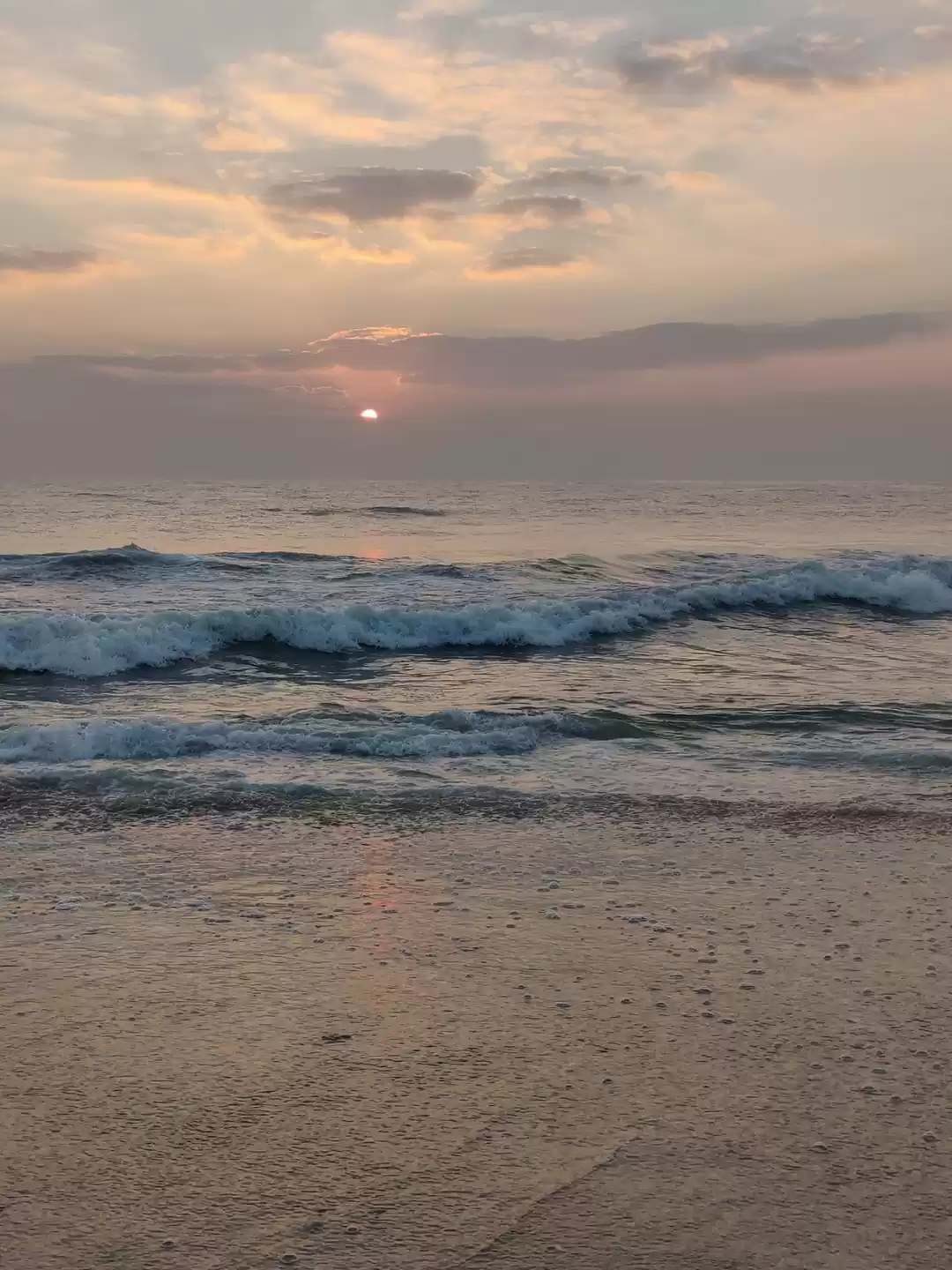 Photo of A sunkissed morning,