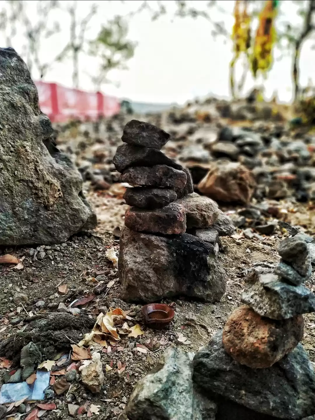 Photo of Tranquil Tiruvannama