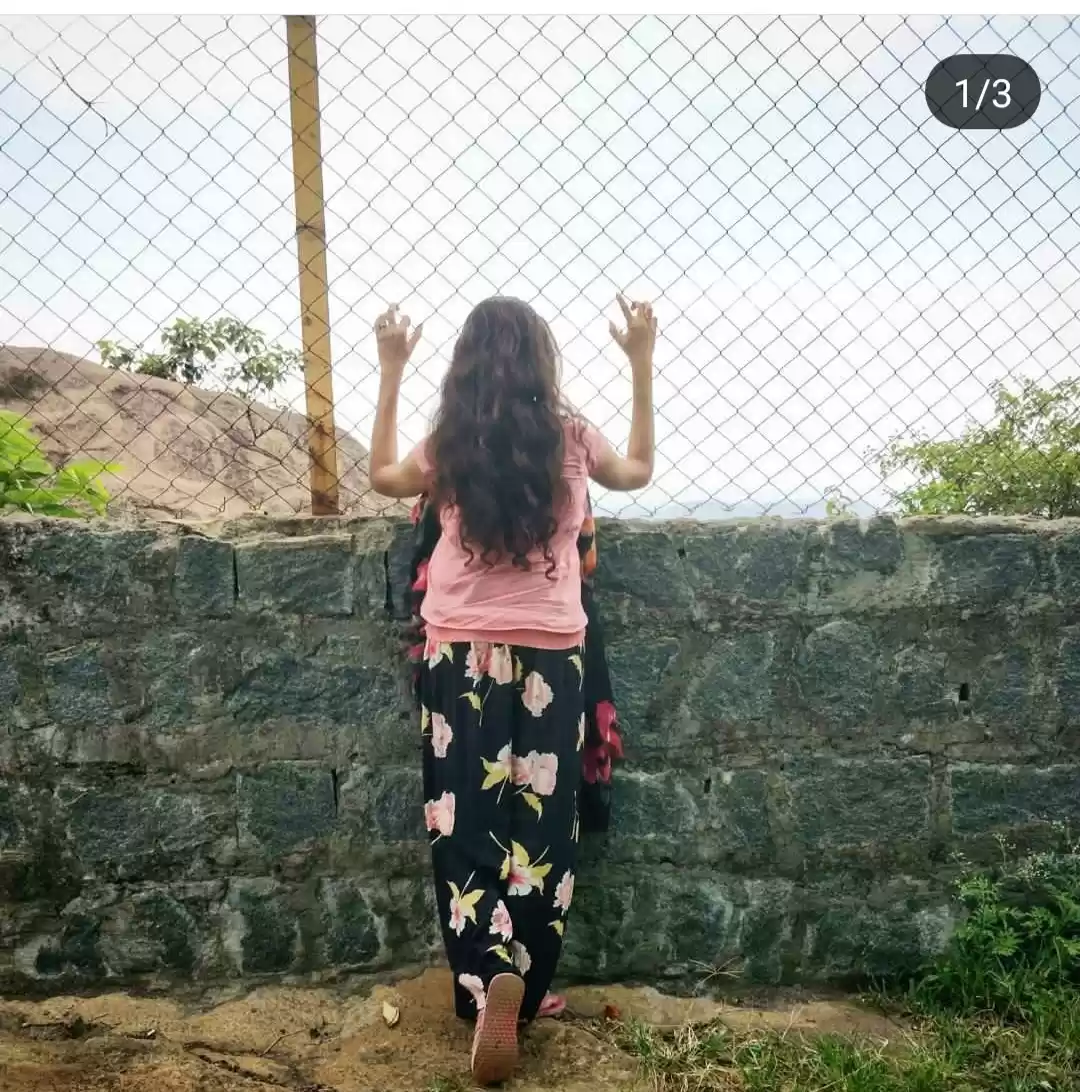 Photo of The road of life twi