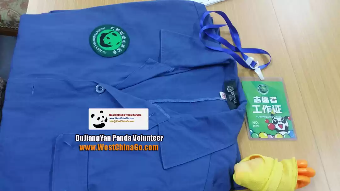 Photo of Chengdu Panda holdin