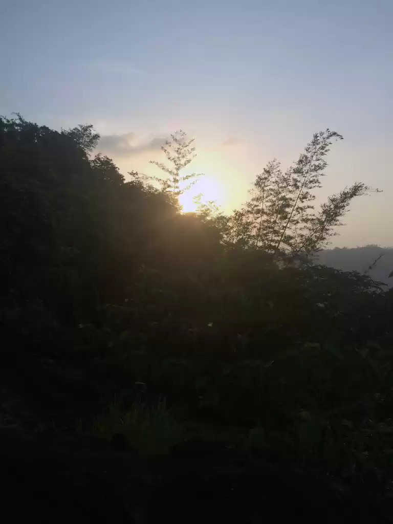 Photo of Wayanad, Kerala – A 